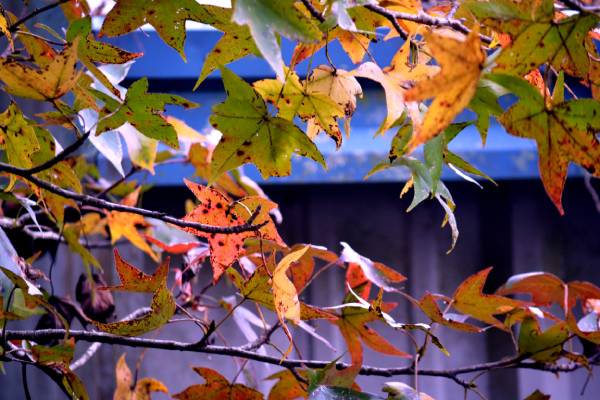 HVAC Services in Covington, LA